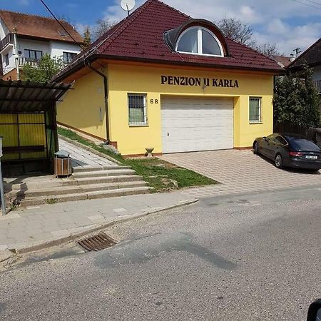 Penzion U Karla Nemcicky (Breclav) Exterior foto